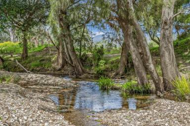 Other (Rural) For Sale - NSW - Gloucester - 2422 - Premium Riverfront Rural Holding in the Heart of the Barrington Coast  (Image 2)