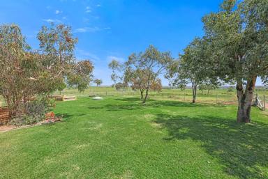 Lifestyle For Sale - NSW - Tamworth - 2340 - AFFORDABLE, UNCOMPLICATED SMALL ACREAGE  (Image 2)