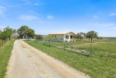 Lifestyle For Sale - NSW - Tamworth - 2340 - AFFORDABLE, UNCOMPLICATED SMALL ACREAGE  (Image 2)