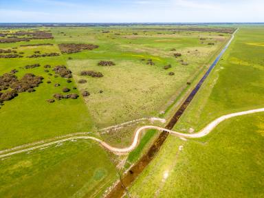 Mixed Farming Auction - SA - Avenue Range - 5273 - Diverse Grazing, Cropping, Fodder Production Scale and Diversity  (Image 2)