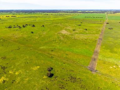 Mixed Farming Auction - SA - Avenue Range - 5273 - Diverse Grazing, Cropping, Fodder Production Scale and Diversity  (Image 2)