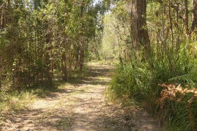 Lifestyle For Sale - NSW - Clearfield - 2469 - THE LOVE SHACK  (Image 2)