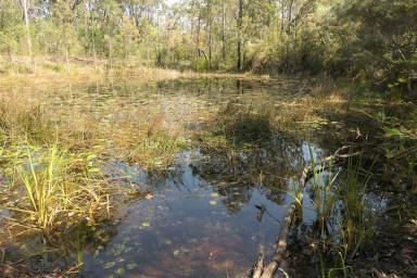 Lifestyle For Sale - NSW - Clearfield - 2469 - DEEP IN THE WOODS  (Image 2)