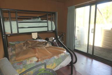 Lifestyle For Sale - NSW - Clearfield - 2469 - YOUR OWN PRIVATE JUNGLE  (Image 2)