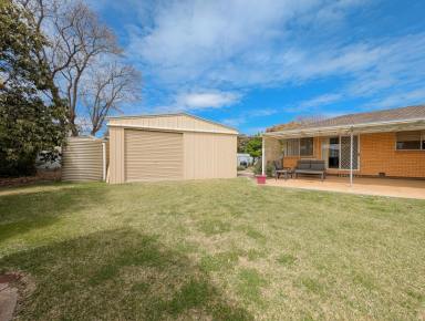 House For Sale - VIC - Kerang - 3579 - Immaculate 4-Bedroom Brick Home with Style  (Image 2)