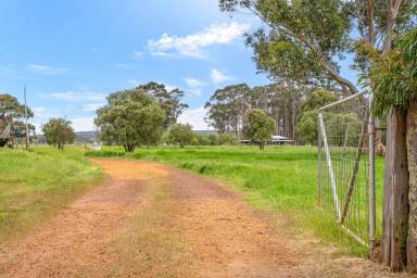 Mixed Farming For Sale - WA - Forest Grove - 6286 - FOREST GROVE RETREAT – PRIME PASTURE WITH TWO HOMES & INCOME  (Image 2)