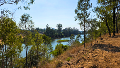 House For Sale - QLD - Gayndah - 4625 - Elevated Acreage with River Views & Renovated Queenslander Charm  (Image 2)