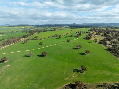 Mixed Farming For Sale - VIC - Lexton - 3352 - WESTERN DISTRICT MIXED FARMING OPPORTUNITY  (Image 2)