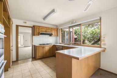 House For Lease - VIC - Hampton - 3188 - NEW CARPET | SEPARATE STUDIO | CLOSE TO SHOPS  (Image 2)