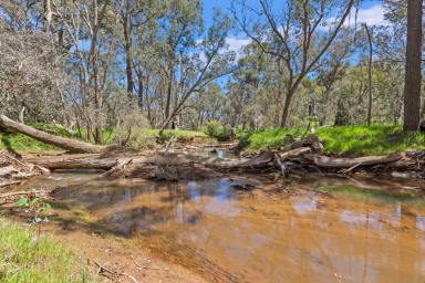 Other (Rural) For Sale - WA - Gidgegannup - 6083 - WATER, ROLLING HILLS & PARKLAND  (Image 2)