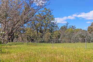 Other (Rural) For Sale - WA - Gidgegannup - 6083 - WATER, ROLLING HILLS & PARKLAND  (Image 2)