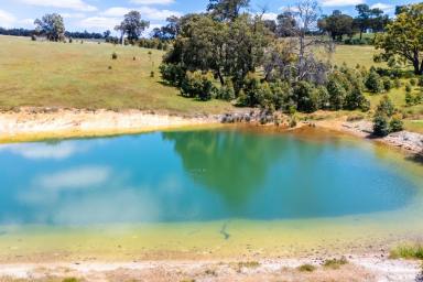 Other (Rural) For Sale - WA - Gidgegannup - 6083 - WATER, ROLLING HILLS & PARKLAND  (Image 2)