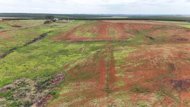 Residential Block For Sale - QLD - North Isis - 4660 - LARGE ACREAGE RED SOIL WITH EXCELLENT SPRING FED DAM  (Image 2)