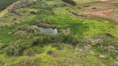 Residential Block For Sale - QLD - North Isis - 4660 - LARGE ACREAGE RED SOIL WITH EXCELLENT SPRING FED DAM  (Image 2)