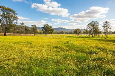 House For Sale - VIC - Euroa - 3666 - Family Home on Acreage Minutes from Euroa (Image 2)