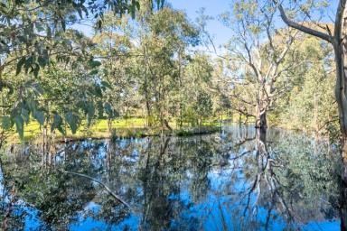 House For Sale - VIC - Euroa - 3666 - Family Home on Acreage Minutes from Euroa (Image 2)
