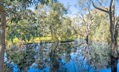 House For Sale - VIC - Euroa - 3666 - Family Home on Acreage Minutes from Euroa  (Image 2)