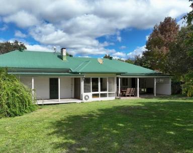 Livestock For Sale - NSW - Bonalbo - 2469 - "GREY GUMS" ON BEAN CREEK  (Image 2)
