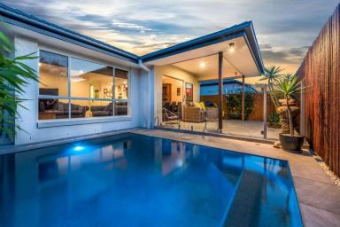 House Sold - QLD - Mountain Creek - 4557 - SOLD - CONTRACT UNCONDITIONAL  (Image 2)