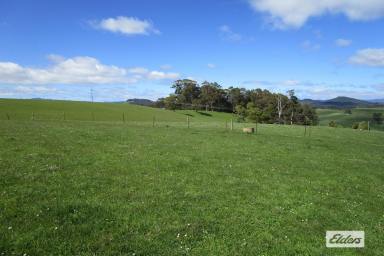 Livestock For Sale - TAS - Preston - 7315 - OUTSTANDING CATTLE BLOCK - 38.65 HECTARES (95 Acres)  (Image 2)
