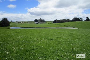 Livestock For Sale - TAS - Preston - 7315 - OUTSTANDING CATTLE BLOCK - 38.65 HECTARES (95 Acres) (Image 2)