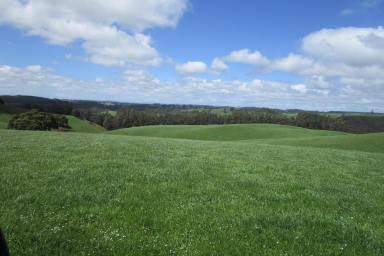 Livestock For Sale - TAS - Preston - 7315 - OUTSTANDING CATTLE BLOCK - 38.65 HECTARES (95 Acres) (Image 2)