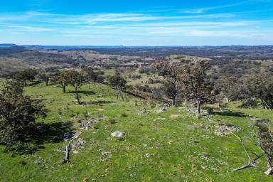 Other (Rural) For Sale - NSW - Mudgee - 2850 - THE ULTIMATE GETAWAY  (Image 2)