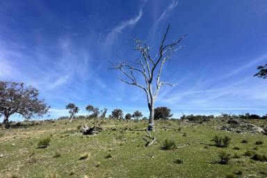 Other (Rural) For Sale - NSW - Mudgee - 2850 - THE ULTIMATE GETAWAY  (Image 2)