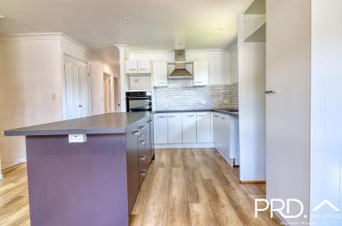 Block of Units For Lease - NSW - South Lismore - 2480 - South Lismore Charm  (Image 2)