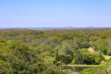 House For Sale - QLD - Doonan - 4562 - Elevated Acreage Retreat in Doonan  (Image 2)