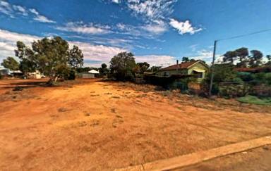 Residential Block For Sale - WA - Morawa - 6623 - Invest in the Future of Morawa – Your Perfect Piece of Land Awaits!  (Image 2)
