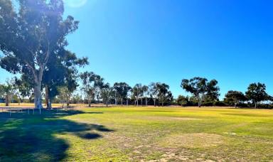Residential Block For Sale - WA - Morawa - 6623 - Invest in the Future of Morawa – Your Perfect Piece of Land Awaits!  (Image 2)