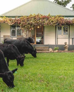 Other (Rural) For Sale - NSW - Gloucester - 2422 - 'Channa' - Your Private Highlander's Retreat with Breathtaking Views & Endless Possibilities  (Image 2)