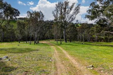 Residential Block Auction - NSW - Yass - 2582 - "Inyanga" A Rare Yass Valley Retreat with Water Security, Space and Endless Possibility  (Image 2)