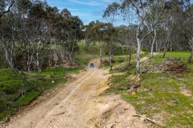Residential Block Auction - NSW - Yass - 2582 - "Inyanga" A Rare Yass Valley Retreat with Water Security, Space and Endless Possibility  (Image 2)