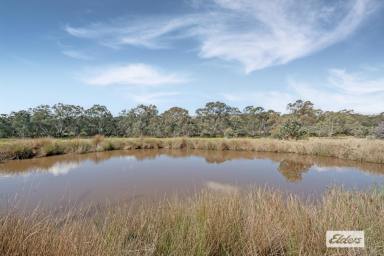 House For Sale - VIC - Ravenswood South - 3453 - A Privileged Location for Your Restored or New Home on 8 Ha / 20 Ac Approx. (Image 2)