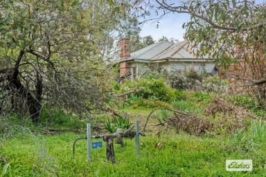 House For Sale - VIC - Ravenswood South - 3453 - A Privileged Location for Your Restored or New Home on 8 Ha / 20 Ac Approx. (Image 2)