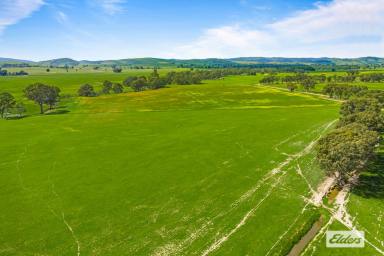 Other (Rural) For Sale - VIC - Paradise - 3477 - Fantastic add-on or start  (Image 2)