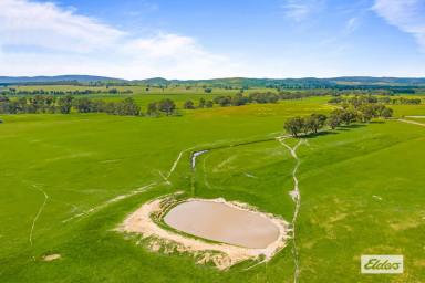 Other (Rural) For Sale - VIC - Paradise - 3477 - Fantastic add-on or start  (Image 2)