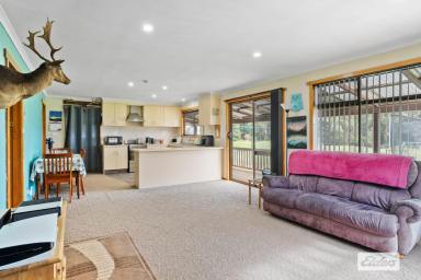 Acreage/Semi-rural For Sale - TAS - Takone - 7325 - PEACE & TRANQUILITY ON NINE ACRES BY THE RIVER  (Image 2)