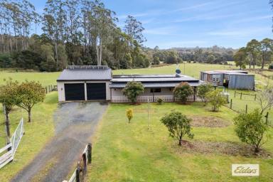 Acreage/Semi-rural For Sale - TAS - Takone - 7325 - PEACE & TRANQUILITY ON NINE ACRES BY THE RIVER  (Image 2)