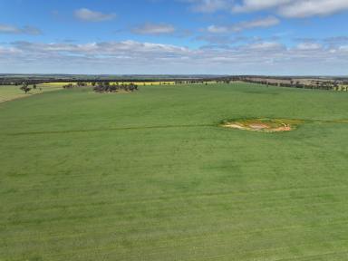 Mixed Farming Tender - NSW - Ariah Park - 2665 - PERFECT ADDITION!  (Image 2)