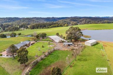 Cropping For Sale - TAS - Somerset - 7322 - LARGE SCALE COASTAL CROPPING  (Image 2)