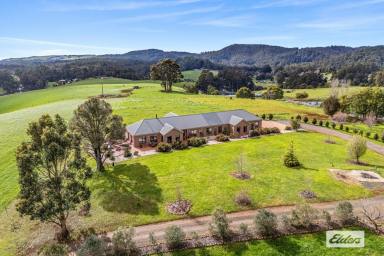 Cropping For Sale - TAS - Somerset - 7322 - LARGE SCALE COASTAL CROPPING  (Image 2)