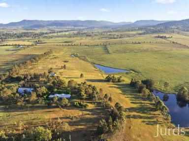 Lifestyle For Sale - NSW - Luskintyre - 2321 - Stunningly Convenient  (Image 2)