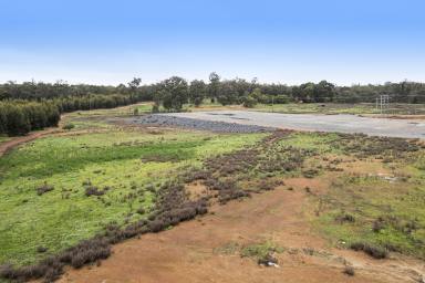 Acreage/Semi-rural For Sale - WA - North Greenbushes - 6254 - HUGE DEVELOPMENT POTENTIAL!  (Image 2)