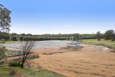 Acreage/Semi-rural For Sale - WA - North Greenbushes - 6254 - HUGE DEVELOPMENT POTENTIAL!  (Image 2)