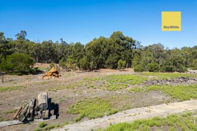 Acreage/Semi-rural For Sale - WA - North Greenbushes - 6254 - HUGE DEVELOPMENT POTENTIAL!  (Image 2)