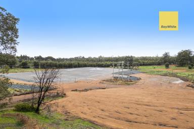 Acreage/Semi-rural For Sale - WA - North Greenbushes - 6254 - HUGE DEVELOPMENT POTENTIAL!  (Image 2)