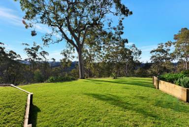 Lifestyle For Sale - NSW - Laguna - 2325 - On Top of the World!  (Image 2)